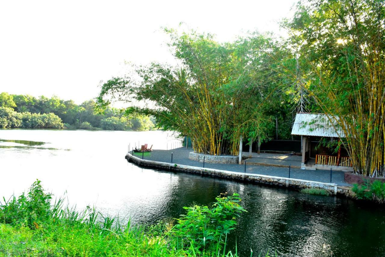 Pelican Lake Udawalawe Eksteriør billede