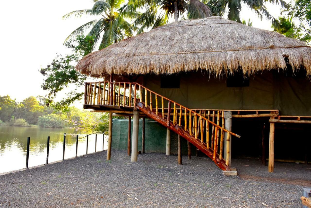Pelican Lake Udawalawe Eksteriør billede